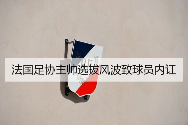 法国足协主帅选拔风波致球员内讧